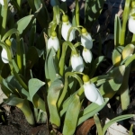 DSC_1659 DSC_1659