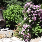 DSC00205