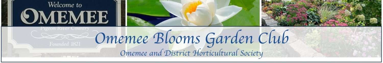 Omemee Blooms Garden Club
